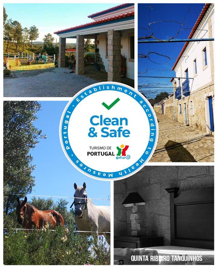 בית הארחה Tancos 	Quinta Ribeiro Tanquinhos מראה חיצוני תמונה