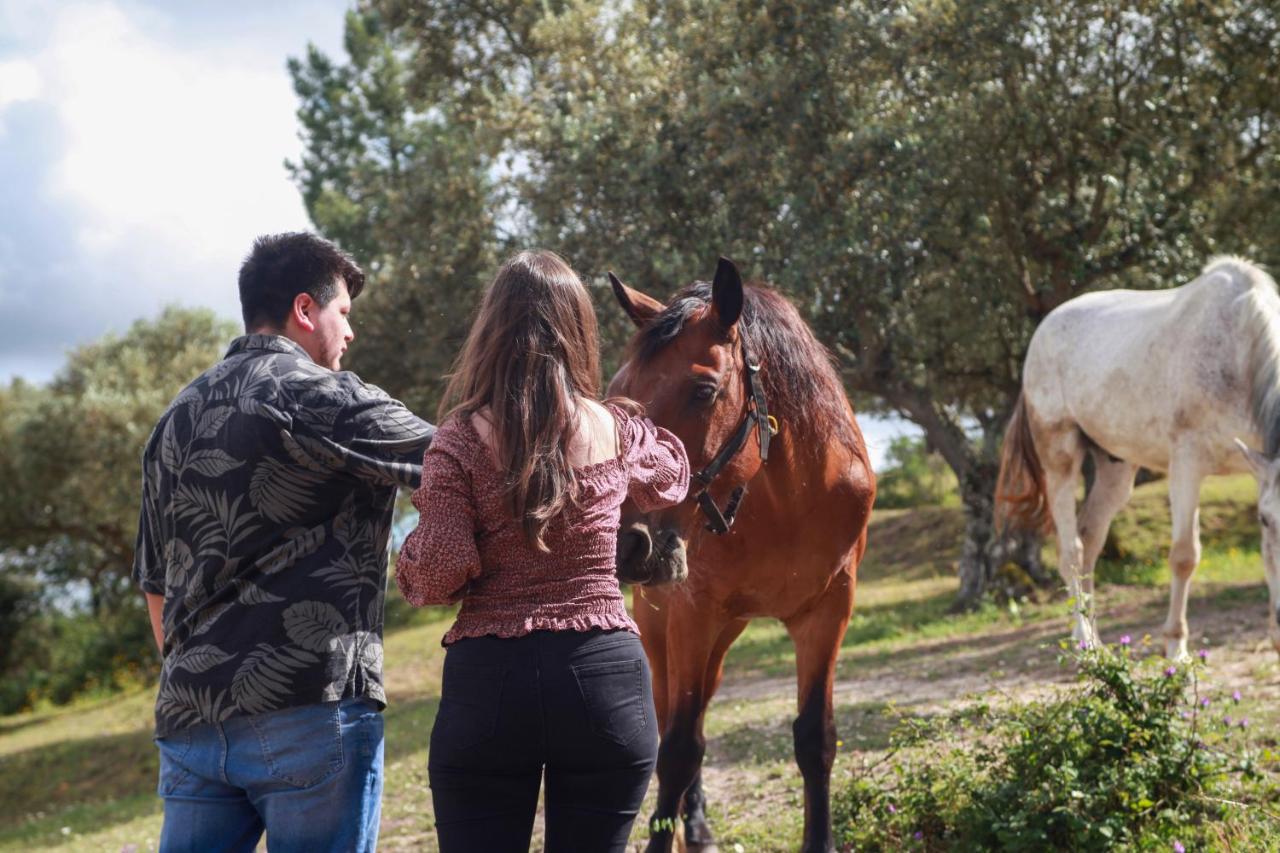 בית הארחה Tancos 	Quinta Ribeiro Tanquinhos מראה חיצוני תמונה