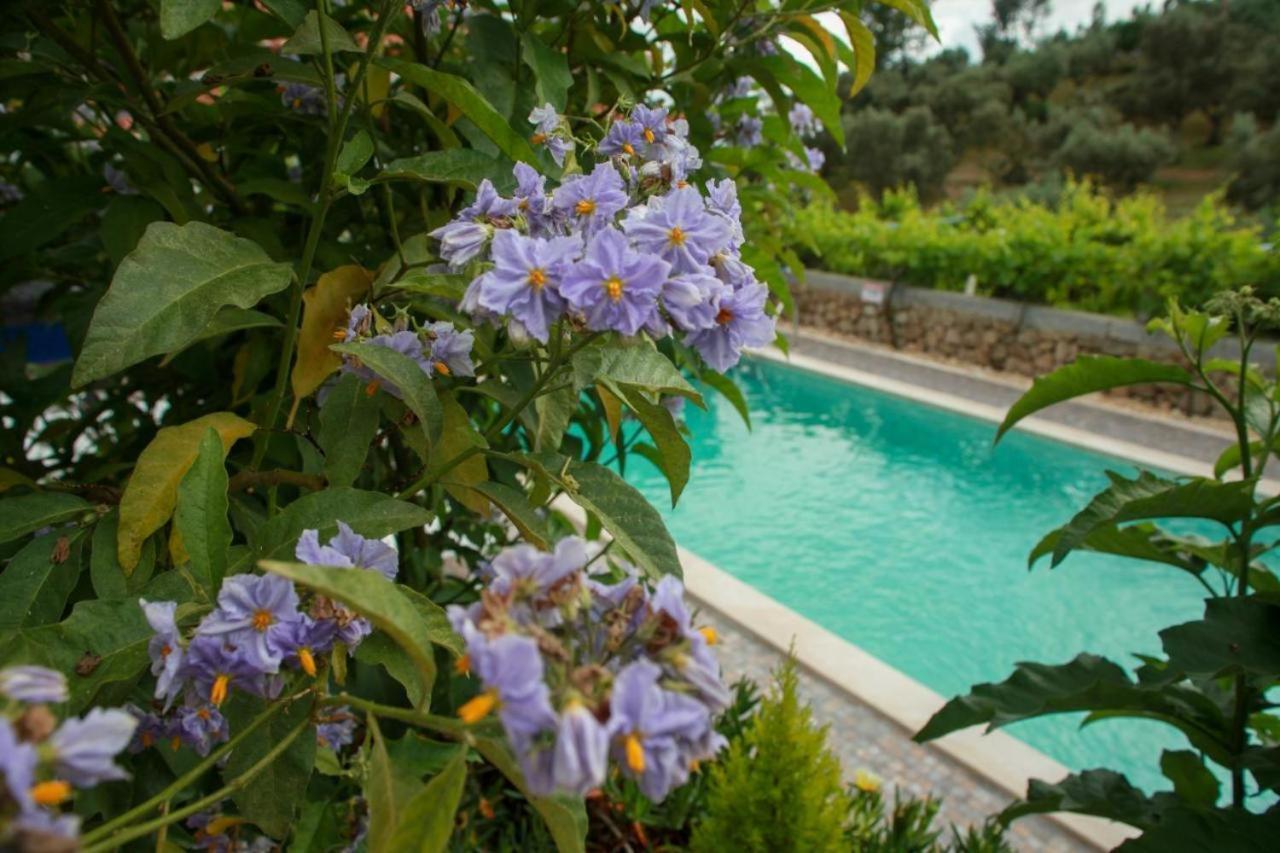בית הארחה Tancos 	Quinta Ribeiro Tanquinhos מראה חיצוני תמונה