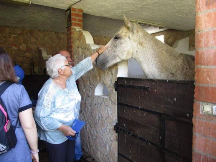 בית הארחה Tancos 	Quinta Ribeiro Tanquinhos מראה חיצוני תמונה