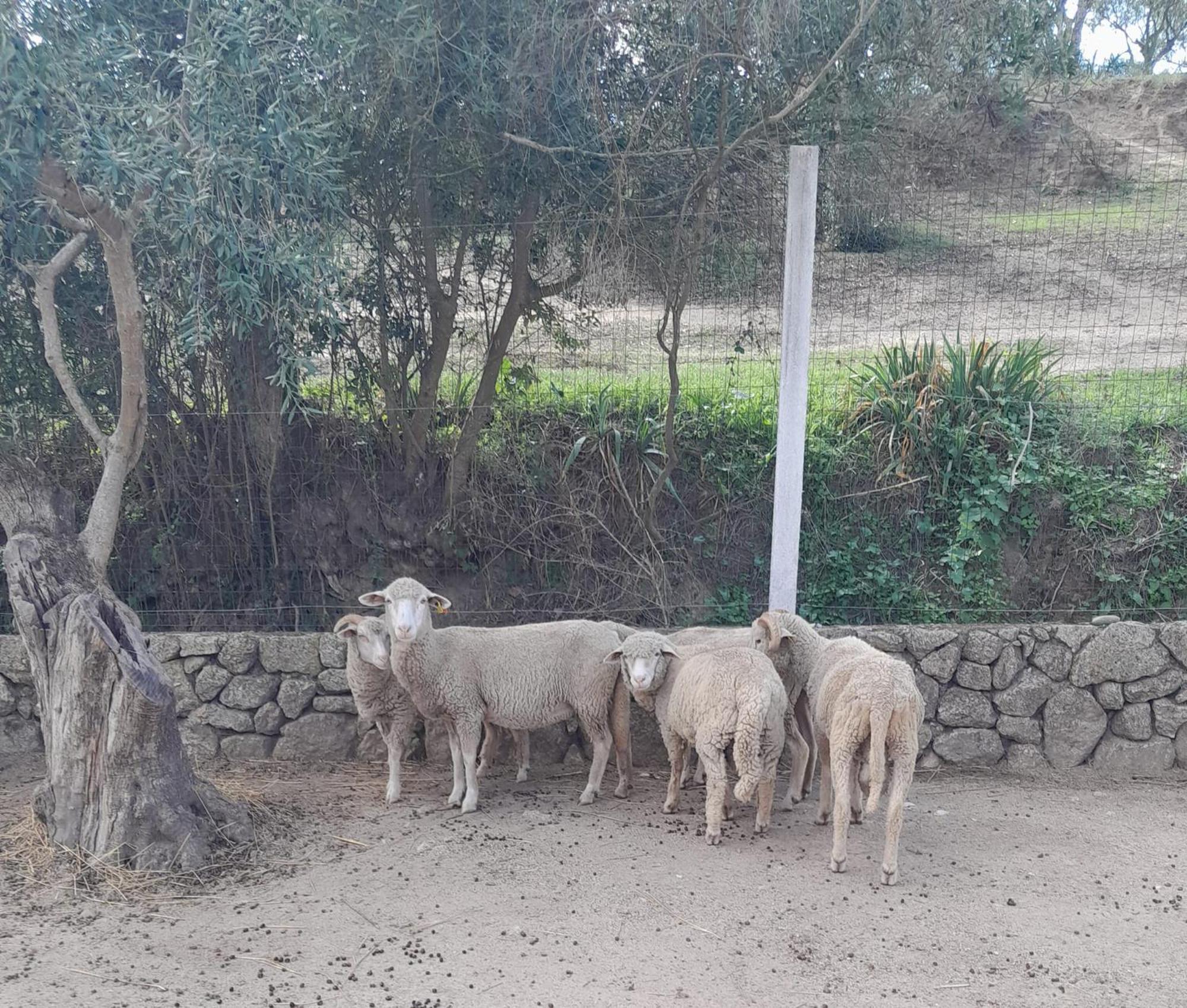 בית הארחה Tancos 	Quinta Ribeiro Tanquinhos מראה חיצוני תמונה