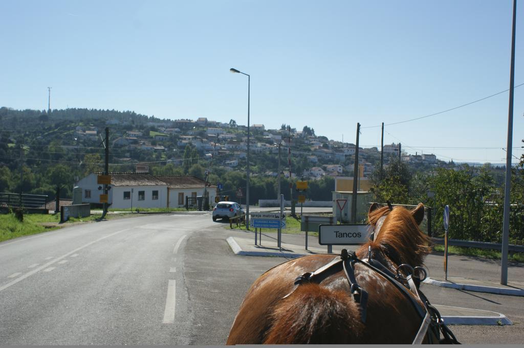 בית הארחה Tancos 	Quinta Ribeiro Tanquinhos מראה חיצוני תמונה