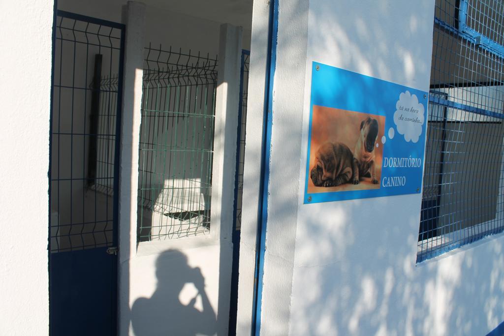 בית הארחה Tancos 	Quinta Ribeiro Tanquinhos מראה חיצוני תמונה