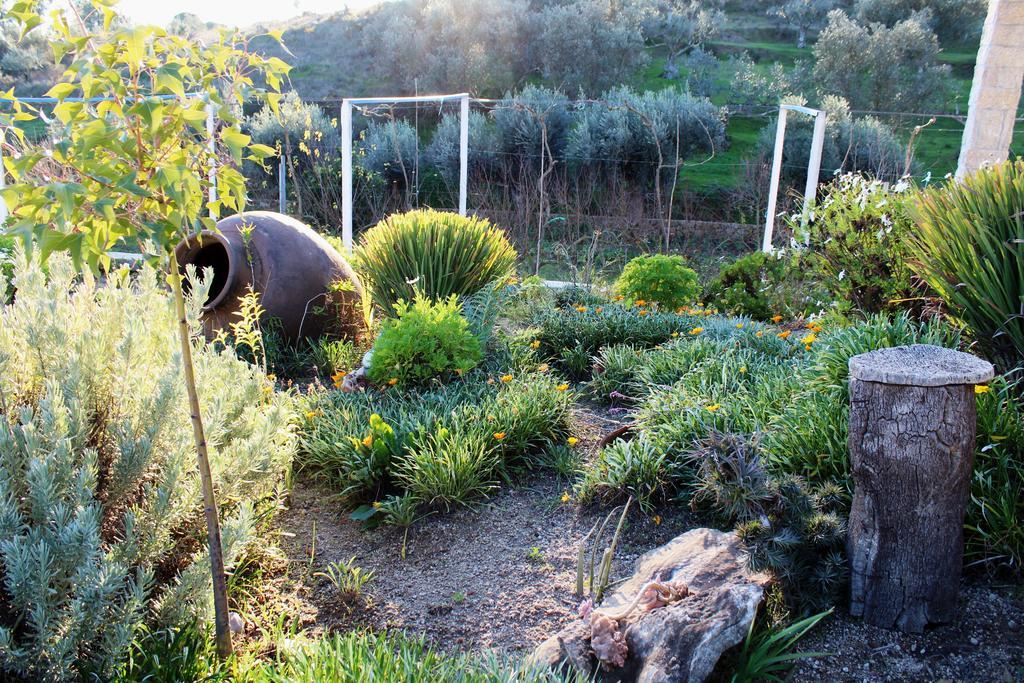 בית הארחה Tancos 	Quinta Ribeiro Tanquinhos מראה חיצוני תמונה