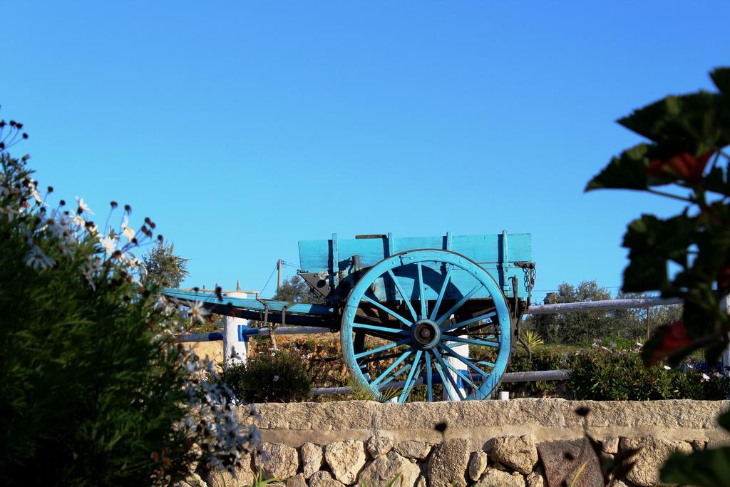 בית הארחה Tancos 	Quinta Ribeiro Tanquinhos מראה חיצוני תמונה