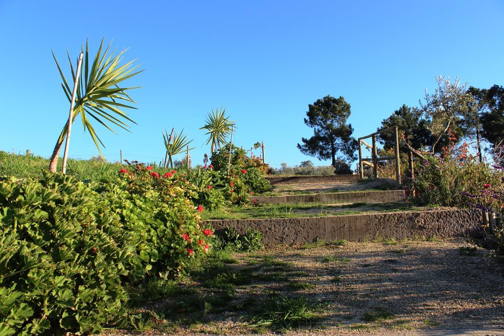 בית הארחה Tancos 	Quinta Ribeiro Tanquinhos מראה חיצוני תמונה