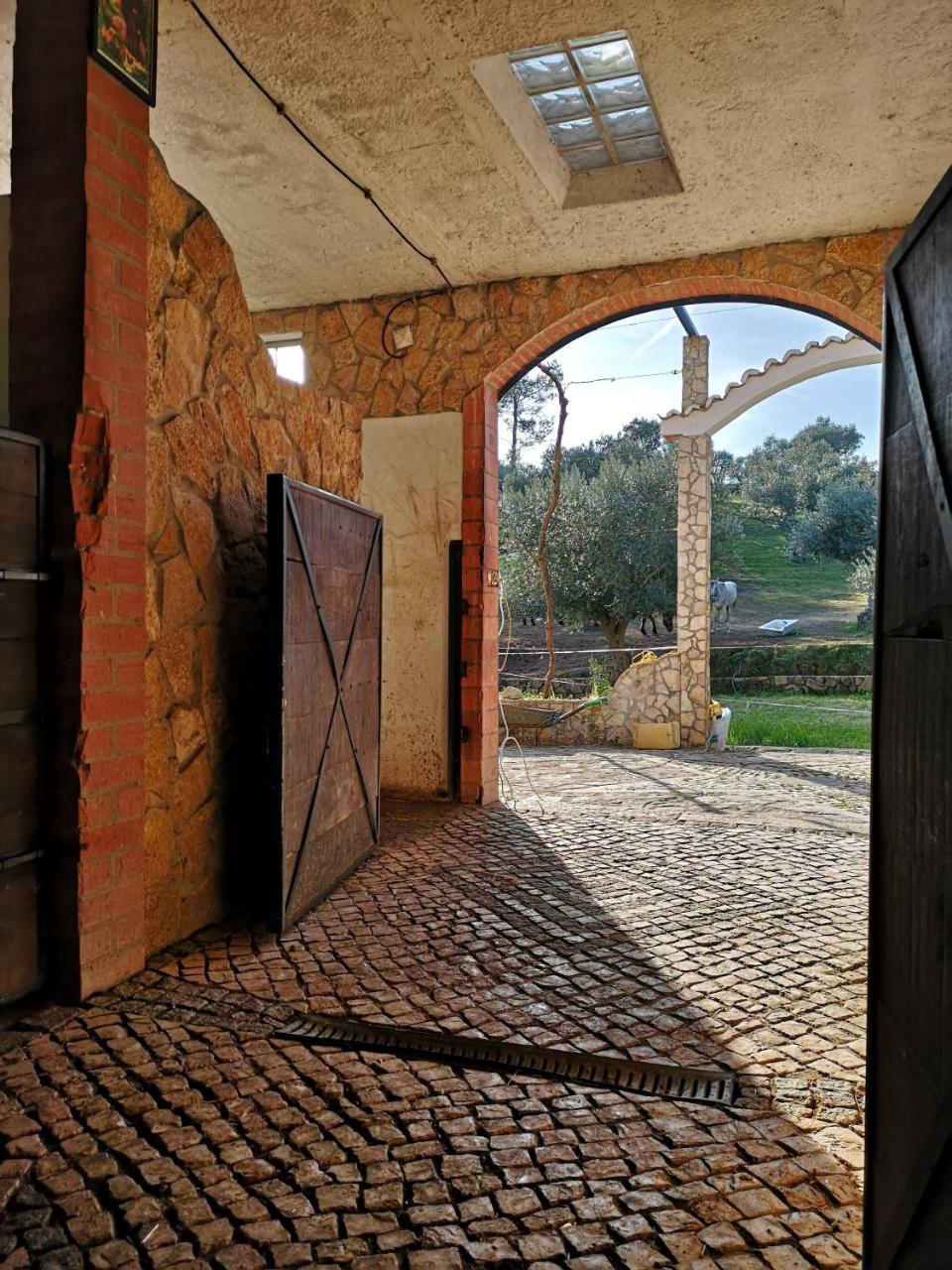 בית הארחה Tancos 	Quinta Ribeiro Tanquinhos מראה חיצוני תמונה