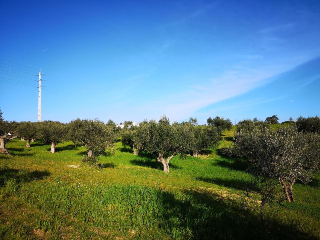 בית הארחה Tancos 	Quinta Ribeiro Tanquinhos מראה חיצוני תמונה